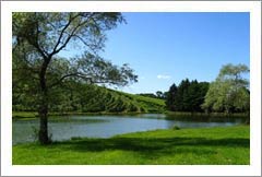 Winery and Vineyard Property Located in Designated AVA - Winery and Vineyard For Sale - Wine Real Estate