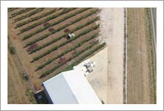 Texas Winery For Sale - Texas Hill Country Winery - Wine Real Estate