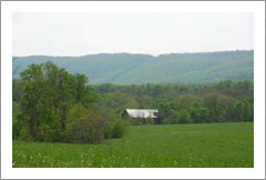 Virginia Vineyard Land For Sale