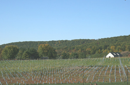 Virginia Winery, Vineyard, and Home For Sale - Wine Real Estate - 7000 Cases Annually