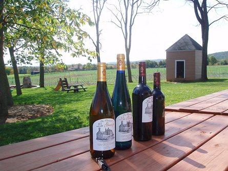Virginia Winery, Vineyard, and Home For Sale - Wine Real Estate - 7000 Cases Annually